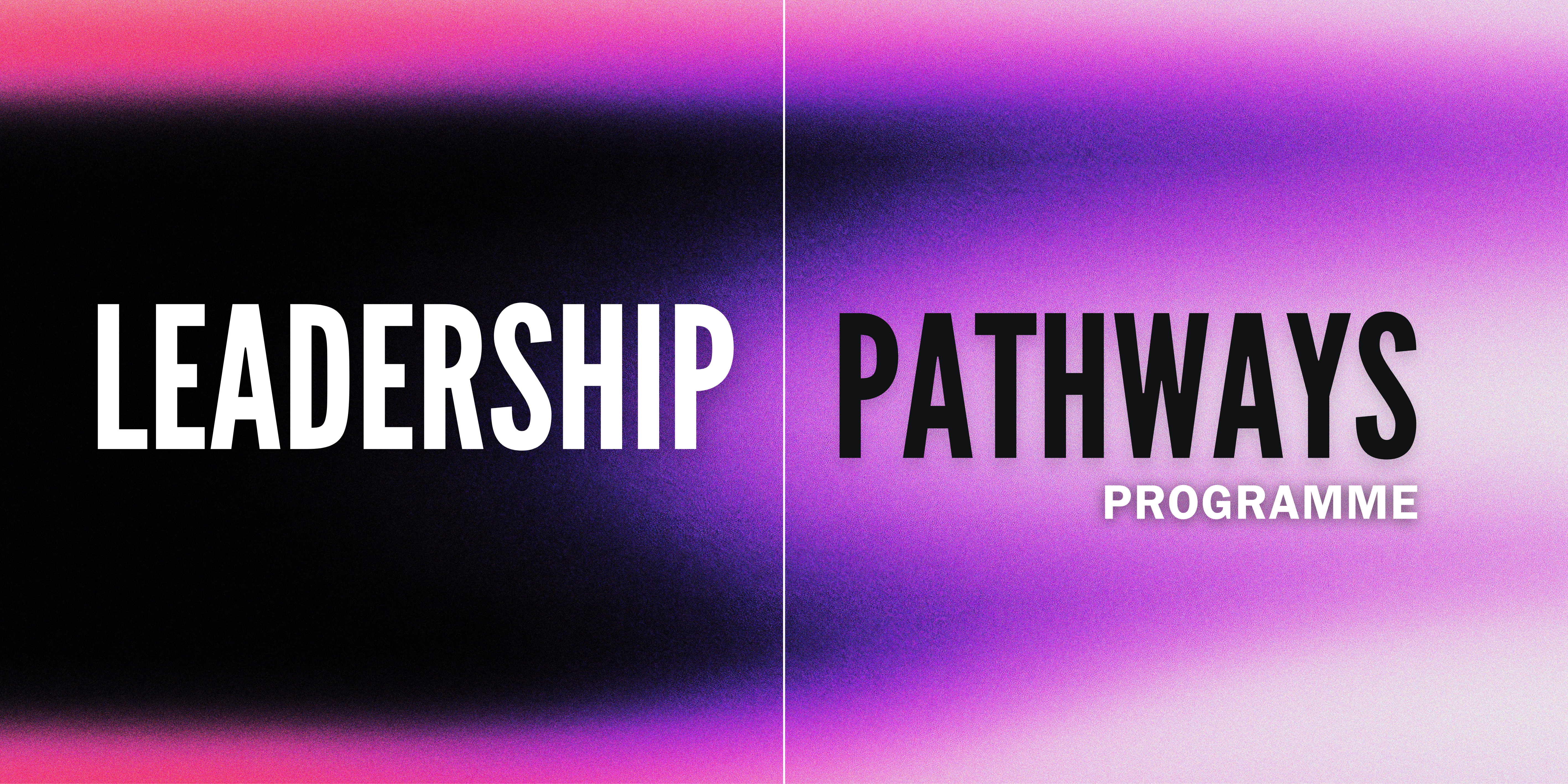 Leadership Pathways Programme